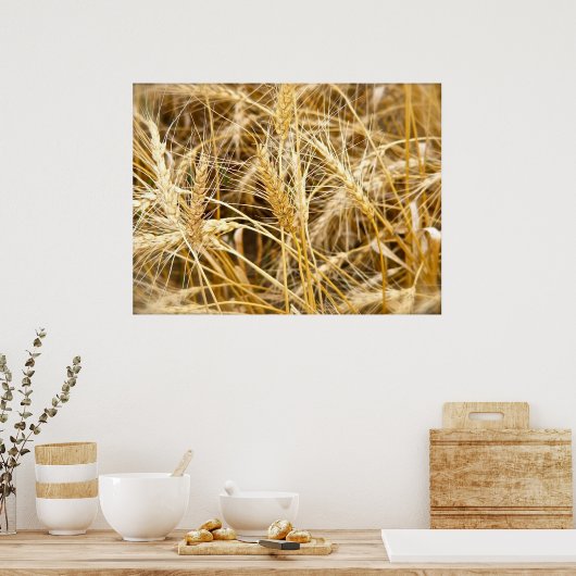North Dakota Wheat Poster (Keuken)