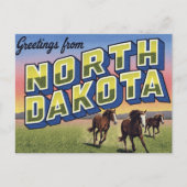 North Dakota Wild Horses Prairie Briefkaart (Voorkant)