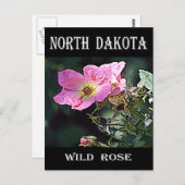 North Dakota Wild Roos Briefkaart (Voorkant / Achterkant)