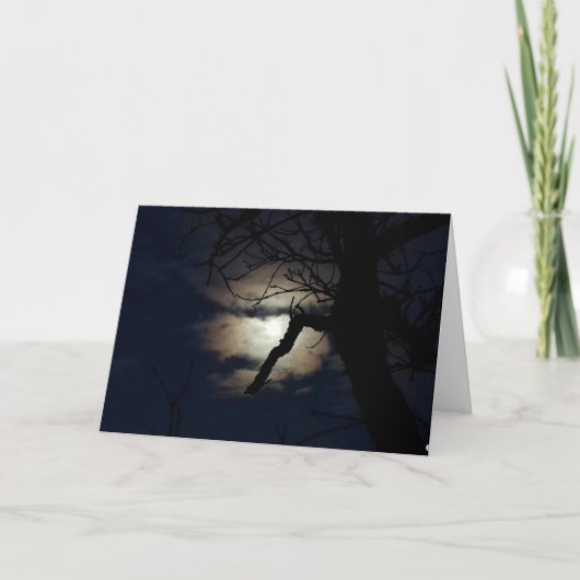 North Eagles: De koude maan Kaart (Voorkant)