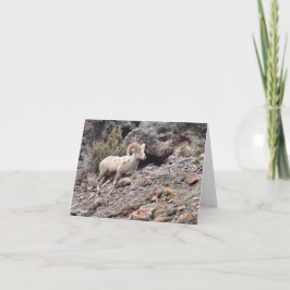North Fork Ram - 4" x 5.6" Notecard Feestdagen Kaart