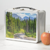 North Fork Shoshone (In situ)