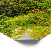 North Fork Shoshone Poster (Hoek)