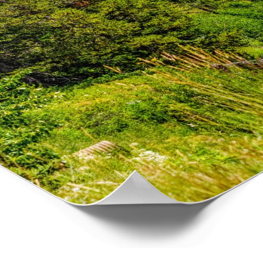 North Fork Shoshone Poster (Hoek)