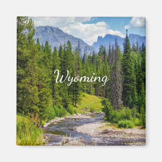 North Fork Shoshone River Square Magnet (Voorkant)