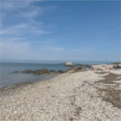 North Fork Sound Custom-Cut Vinyl Sticker (Voorkant)