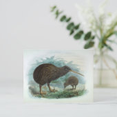 North Island Brown Kiwi  Bird Illustration Briefkaart (Staand voorkant)