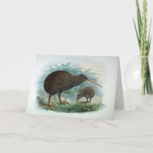 North Island Brown Kiwi Bird Illustration Kaart