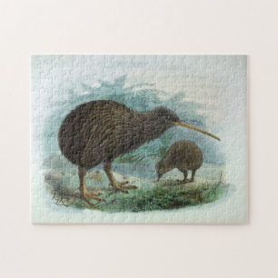 North Island Brown Kiwi  Bird Illustration Legpuzzel