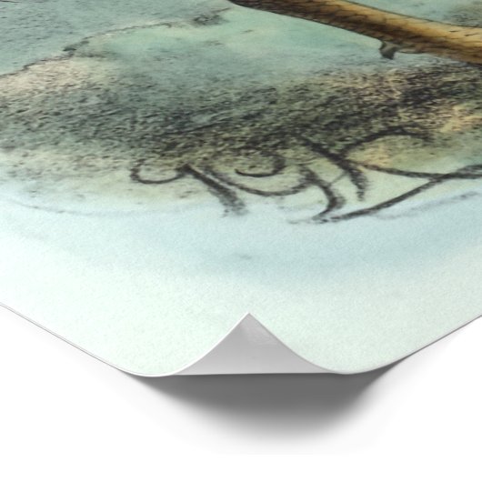 North Island Brown Kiwi  Bird Illustration Poster (Hoek)