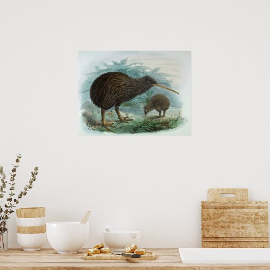 North Island Brown Kiwi  Bird Illustration Poster (Keuken)
