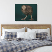 North Island Brown Kiwi Canvas Afdruk (Insitu (Slaapkamer))