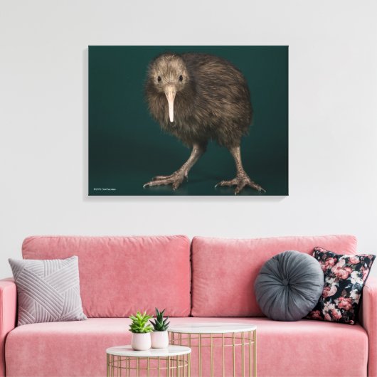 North Island Brown Kiwi Canvas Afdruk (Insitu (Woonkamer))
