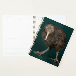 North Island Brown Kiwi Planner