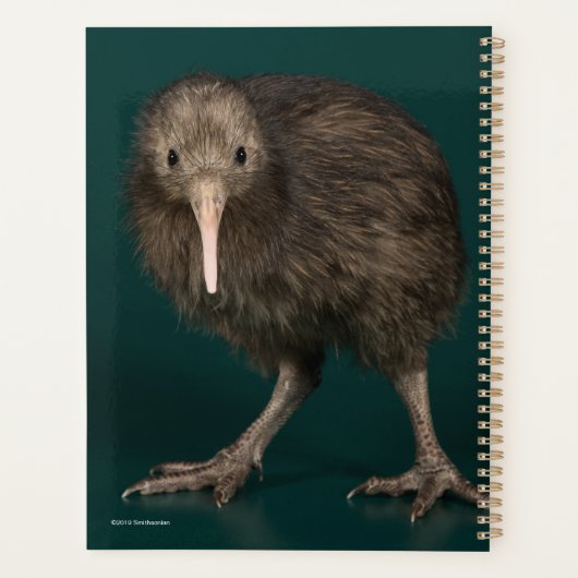 North Island Brown Kiwi Planner (Achterkant)