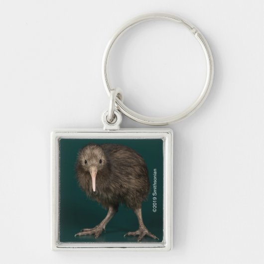 North Island Brown Kiwi Sleutelhanger (Voorkant)