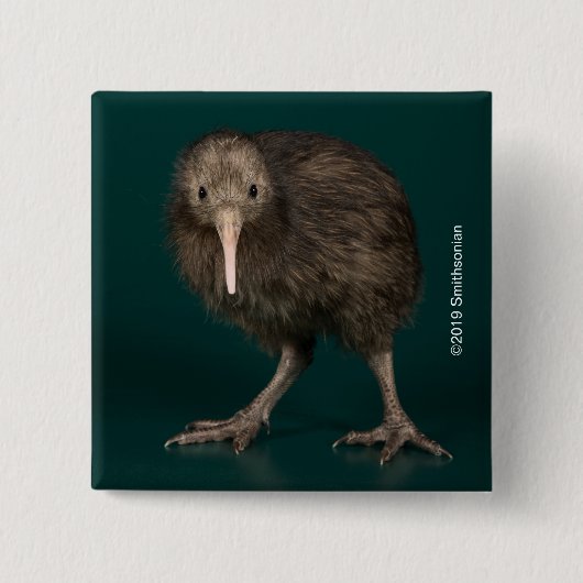 North Island Brown Kiwi Vierkante Button 5,1 Cm (Voorkant)