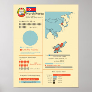 North Korea Infographic Poster