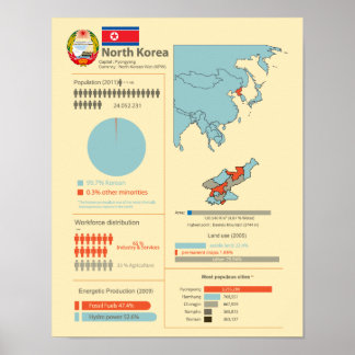North Korea Infographic Poster