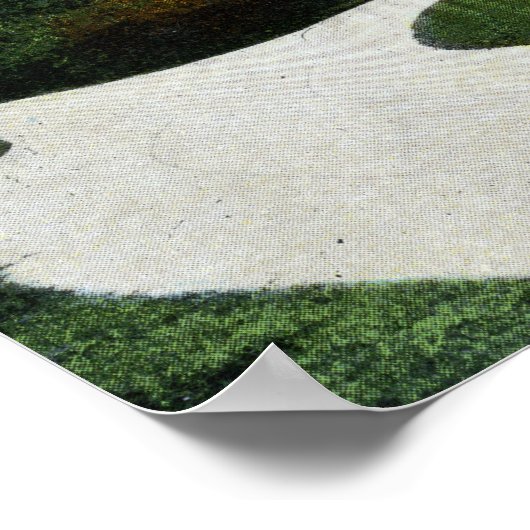 North Park Uitzicht of Brownell School, Fire Poster (Hoek)