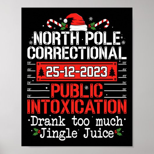 North Pole Correctional Public Intoxication Famili Poster (Voorkant)