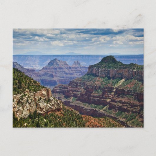 North Rim Gran Canyon - Grand Canyon National Briefkaart (Voorkant)