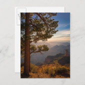 North Rim Sunrise Briefkaart (Voorkant / Achterkant)