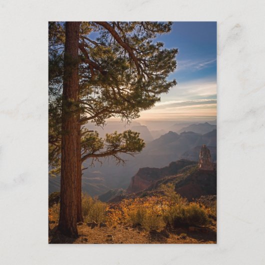 North Rim Sunrise Briefkaart (Voorkant)