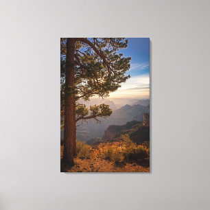 North Rim Sunrise Canvas Afdruk