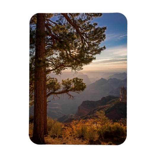 North Rim Sunrise Magneet (Verticaal)
