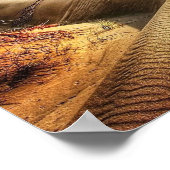 North Sea Dunes Poster (Hoek)