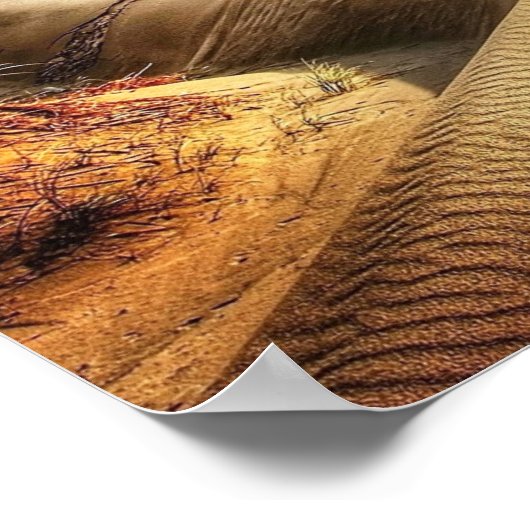 North Sea Dunes Poster (Hoek)