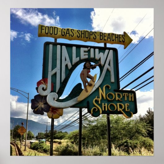 North Shore Oahu Hawaii Poster (Voorkant)