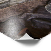 North Shore Outlook Photo Enlargement Foto Afdruk (Hoek)