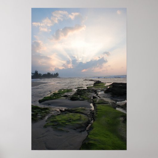 North Shore Sunset Poster (Voorkant)