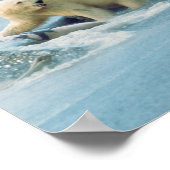 North Slope, Alaska. Ijsberen Ursus Poster (Hoek)