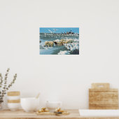 North Slope, Alaska. Ijsberen Ursus Poster (Keuken)