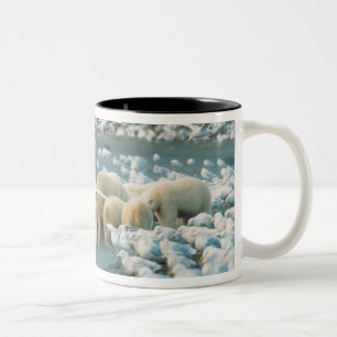 North Slope, Alaska. Ijsberen Ursus Tweekleurige Koffiemok
