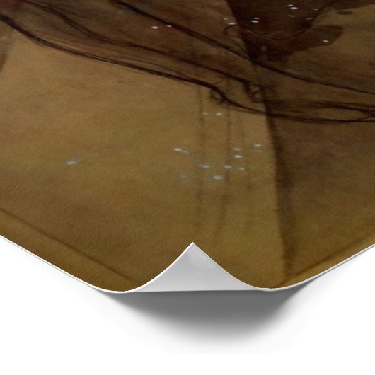 North Star Poster (Hoek)