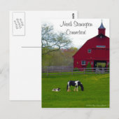 North Stonington, Briefkaart Connecticut (Voorkant / Achterkant)