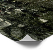 North Street, Pittsfield 1912 Poster (Hoek)