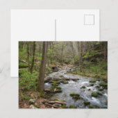 North Sylamore Creek Briefkaart (Voorkant / Achterkant)