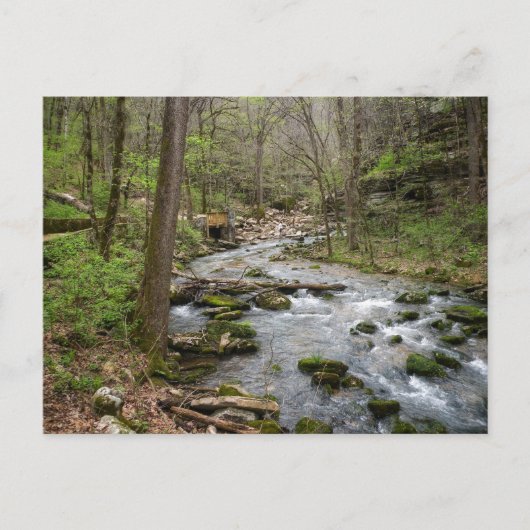 North Sylamore Creek Briefkaart (Voorkant)