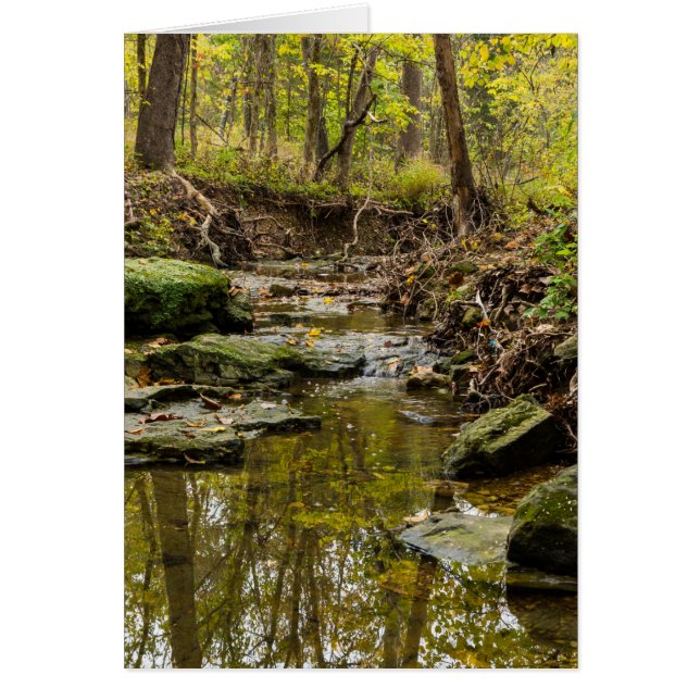 North Wears Creek (Voorkant)