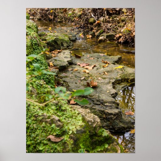 North Wears Creek Rock Bed Poster (Voorkant)