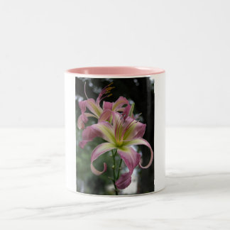 North Wind Dancer Tweekleurige Koffiemok