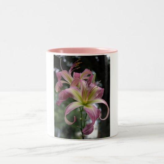 North Wind Dancer Tweekleurige Koffiemok (Center)