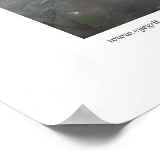 Northampton Rain Forest I Poster (Hoek)