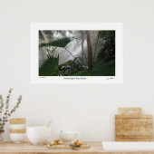 Northampton Rain Forest II Poster (Keuken)