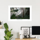 Northampton Rain Forest II Poster (Thuiskantoor)
